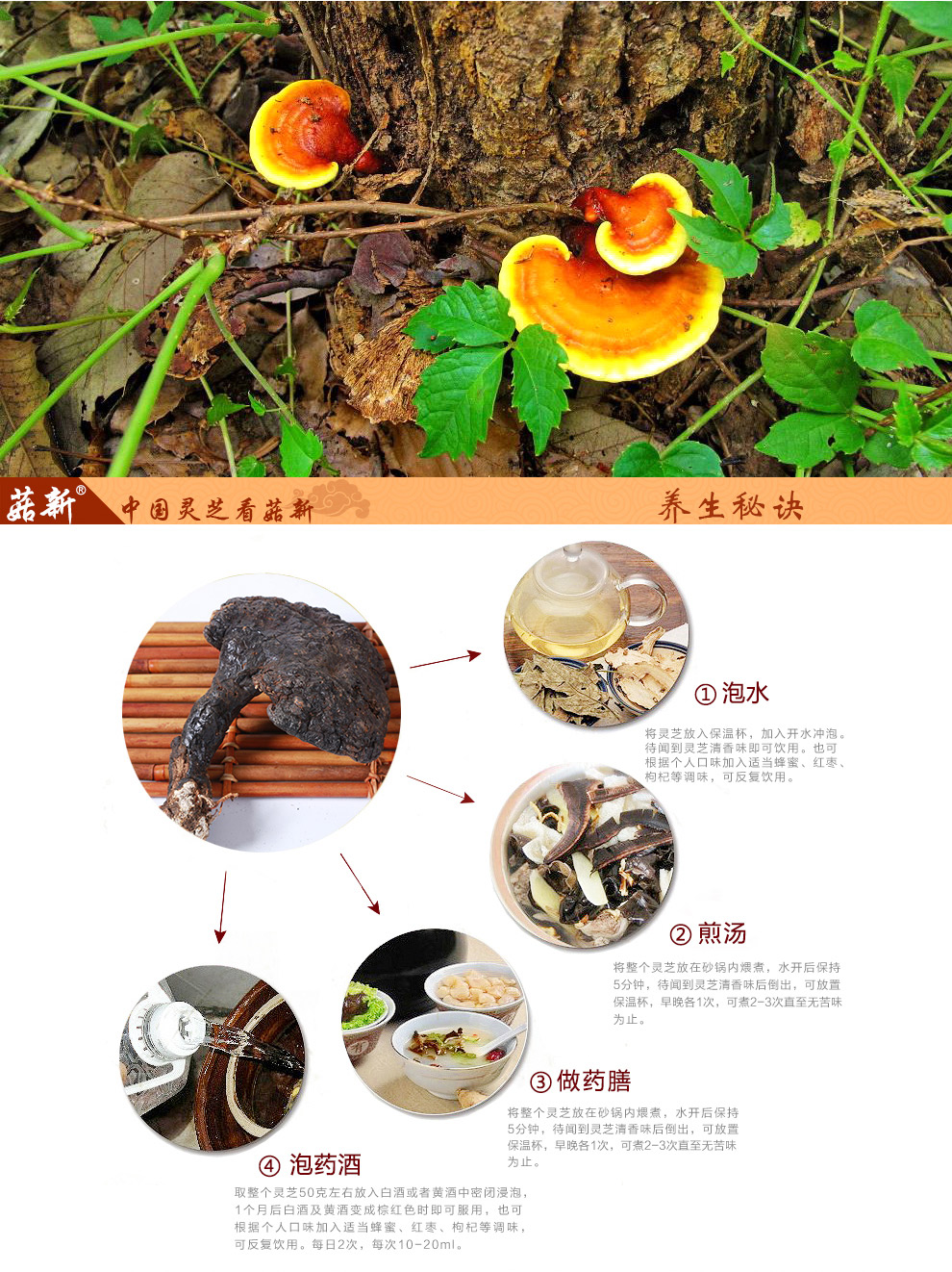 菇新野生靈芝大個(gè)頭