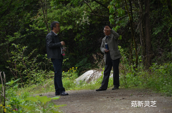 菇新創(chuàng)始人顧越峰先生與中國(guó)靈芝研究院張老師