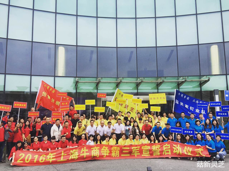 牛商爭霸三大戰(zhàn)區(qū)全體人員（黃色為菇新靈芝團(tuán)隊）