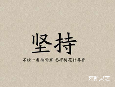 靈芝孢子粉需長期堅(jiān)持服用