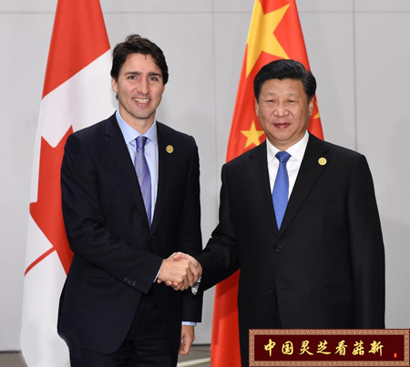 習(xí)近平會(huì)見(jiàn)加拿大總理特魯多