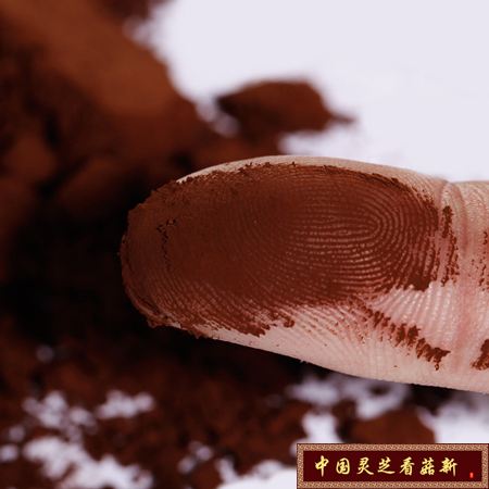 靈芝孢子粉不是補(bǔ)藥
