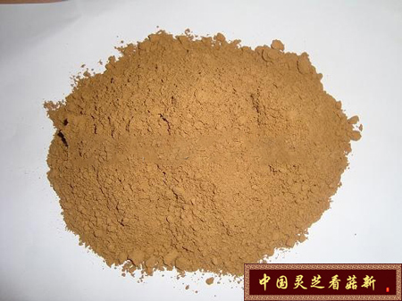 靈芝粉 示意圖