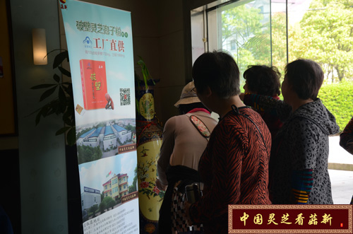 上海市浦東區(qū)癌癥康復(fù)俱樂(lè)部考察菇新靈芝