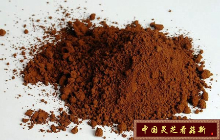 影響破壁靈芝孢子粉的因素有哪些