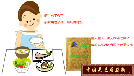 破壁靈芝孢子粉應(yīng)飯前半小時空腹吃