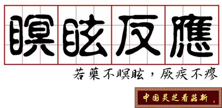 破壁靈芝孢子粉的瞑眩反應為身體機能轉好的標志