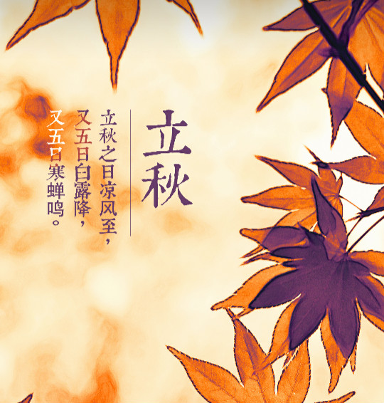 菇新提醒：秋天也可以通過(guò)服用破壁靈芝孢子粉來(lái)保健