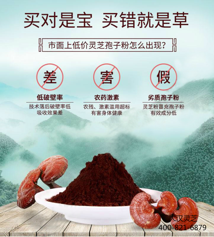 破壁靈芝孢子粉是否有效，品質(zhì)很關(guān)鍵